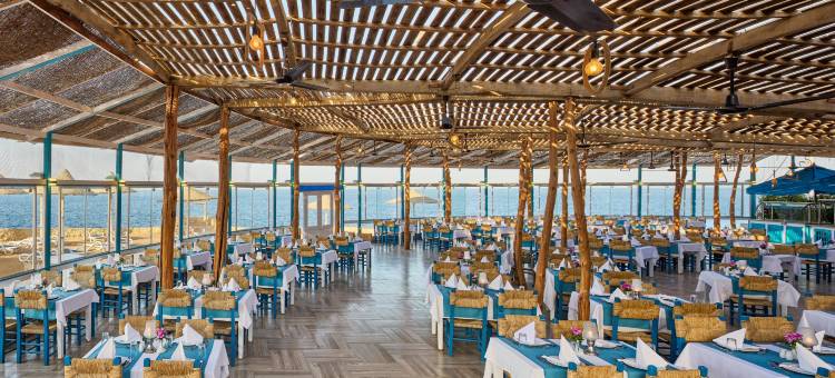 梦想海滩度假村-沙姆沙伊赫(Dreams Beach Resort)图片