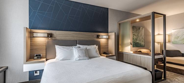 底特律斯特林海茨万豪SpringHill酒店(SpringHill Suites by Marriott Detroit Sterling Heights)图片