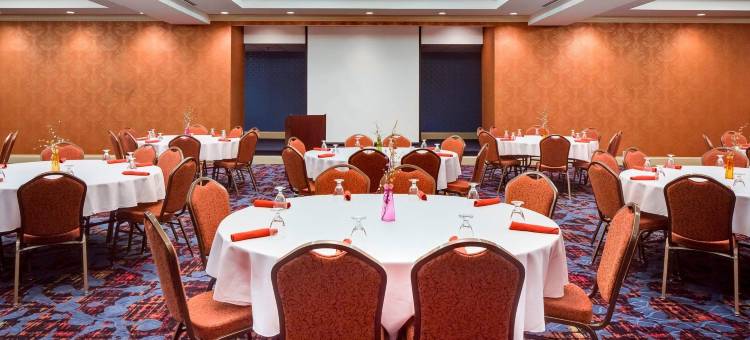 Holiday Inn 迪比克/方铅矿(Holiday Inn Dubuque/Galena)图片