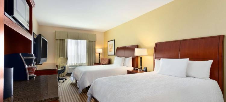 休斯顿克莱尔雷克NASA希尔顿花园酒店(Hilton Garden Inn Houston/Clear Lake NASA)图片