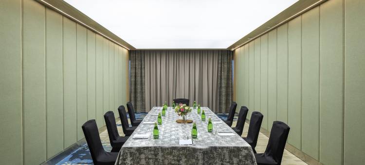 孟买国际机场丽笙酒店(Radisson Blu Mumbai International Airport)图片