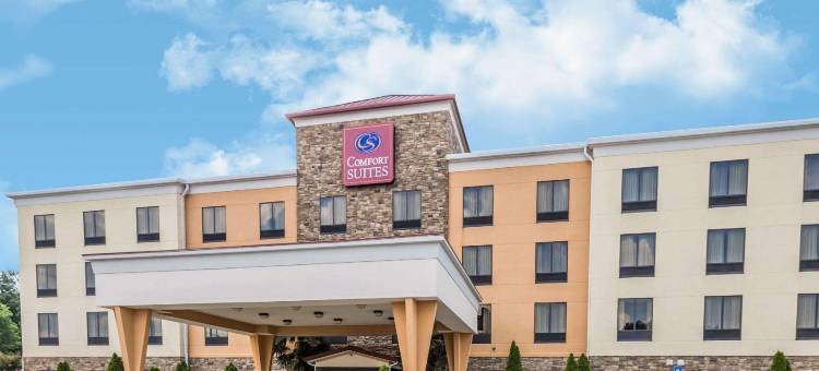 舒适套房酒店(Comfort Suites)图片