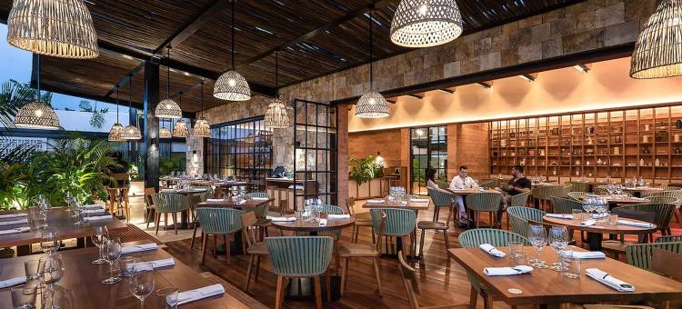 梅里达拉斯布里萨斯酒店(Las Brisas Mérida)图片