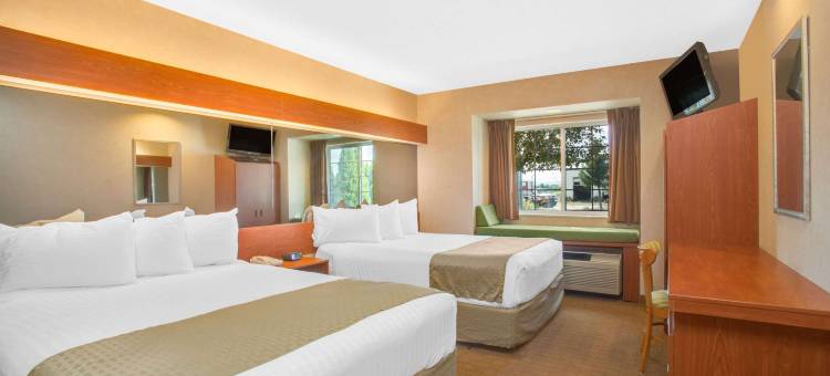 斯普林维尔麦客达套房酒店(Microtel Inn & Suites by Wyndham Springville)图片