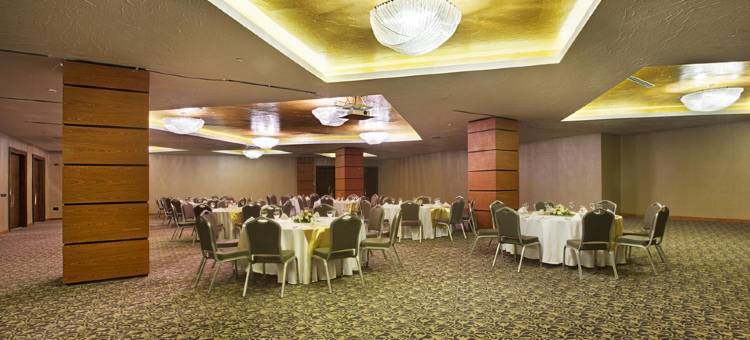 埃尔比勒市中心德德曼酒店(Dedeman Erbil Hotel City Center)图片