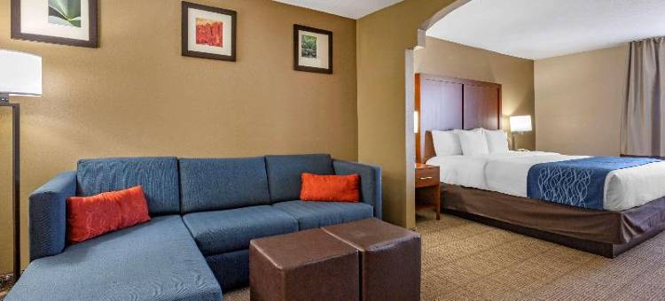 洛兹堡 I-10 舒适套房酒店(Comfort Inn & Suites Lordsburg I-10)图片