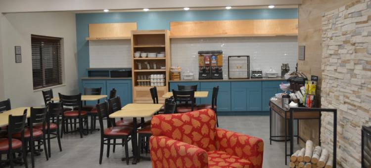 菲尔维海茨丽怡酒店(Country Inn & Suites by Radisson, Fairview Heights, IL)图片
