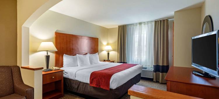 舒适套房酒店-达拉斯北(Comfort Suites North Dallas)图片