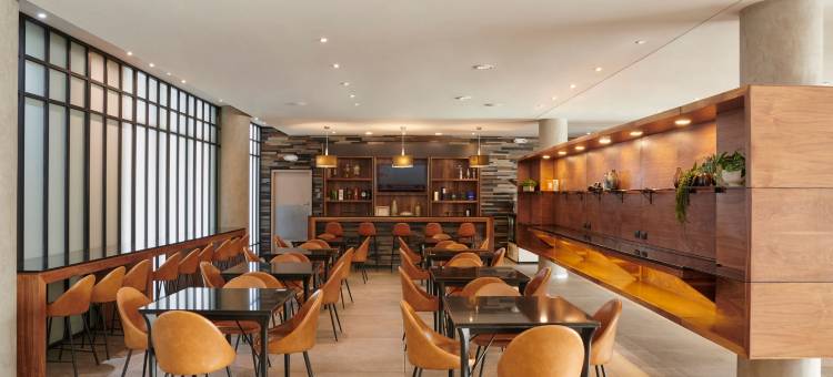 奇瓦瓦州 Distrito Uno 福朋喜来登酒店(Four Points by Sheraton Distrito Uno Chihuahua)图片