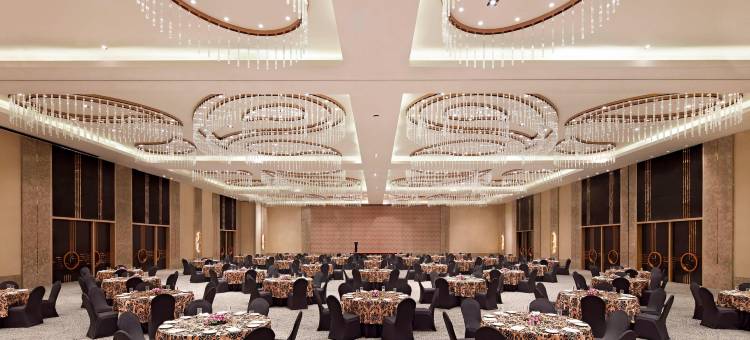 加尔各答拉加哈特威斯汀酒店(The Westin Kolkata Rajarhat)图片