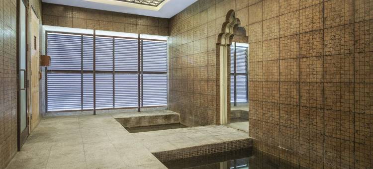 Loman Park Hotel Yogyakarta图片