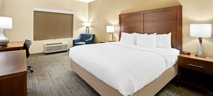 格林斯伯勒温斯顿塞勒姆高点丽怡酒店(Comfort Inn & Suites High Point - Archdale)图片