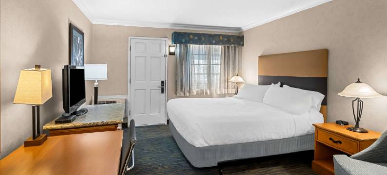 大学旅舍贝斯特韦斯特酒店(Best Western University Lodge)图片