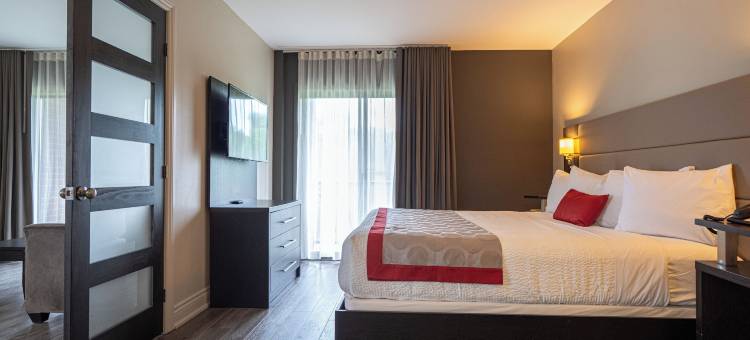 渥太华里多华美达酒店(Ramada by Wyndham Ottawa on the Rideau)图片