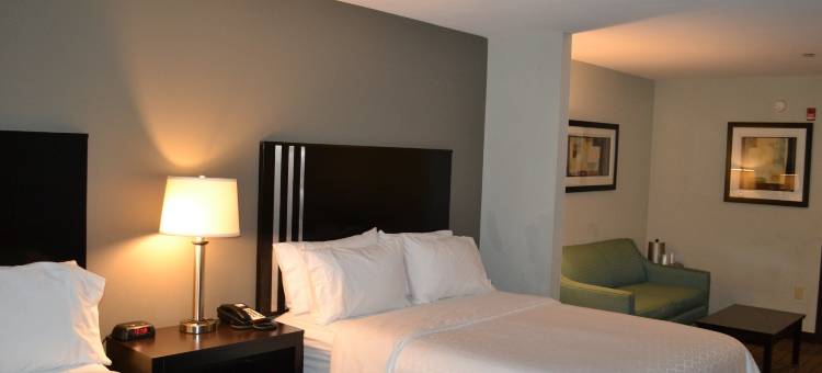 锡林斯格罗夫智选假日酒店(Holiday Inn Express & Suites Selinsgrove - University Area)图片