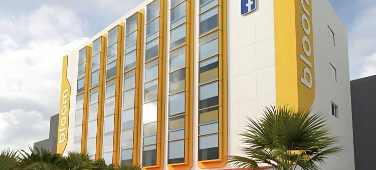 加奇博利布卢姆酒店(Bloom Hotel - Gachibowli)图片