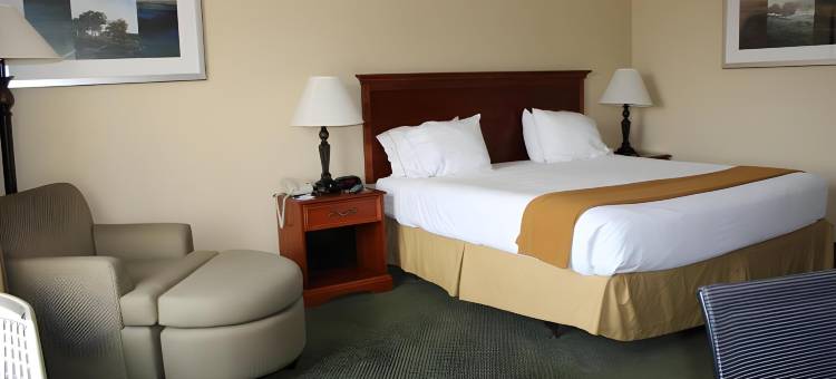 特哈查比智选假日酒店(Holiday Inn Express & Suites Tehachapi Hwy 58/Mill ST.)图片