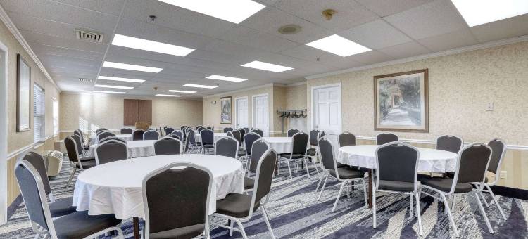 阿普尔顿机场舒适套房酒店(Comfort Suites Appleton Airport)图片