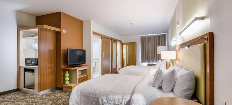 伊尼德 SpringHill Suites 酒店(SpringHill Suites Enid)图片