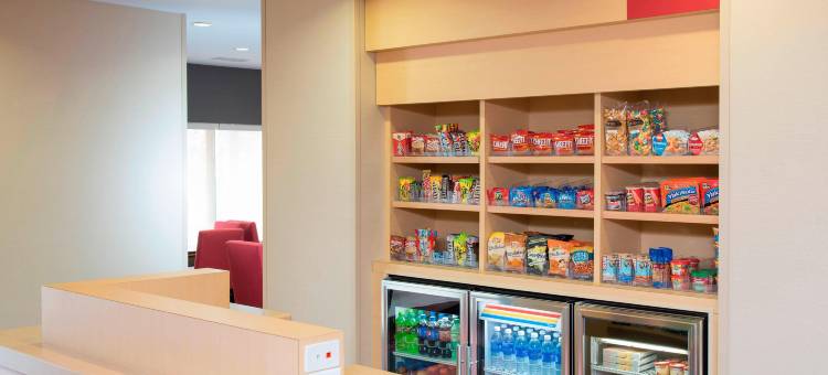 卡拉马祖万豪TownePlace酒店(TownePlace Suites Kalamazoo)图片