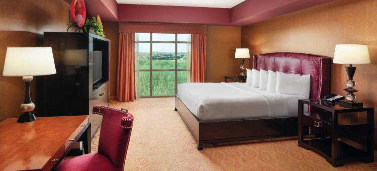 夏洛特康柯德高尔夫度假村及水疗中心希尔顿安泊酒店(Embassy Suites by Hilton Charlotte Concord Golf Resort & Spa)图片