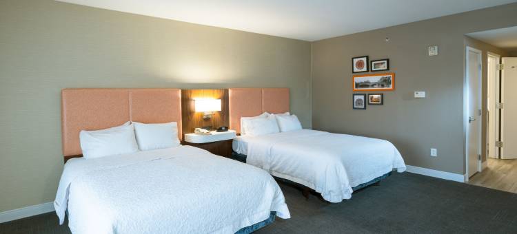 詹姆斯敦欢朋酒店及套房(Hampton Inn & Suites Jamestown)图片