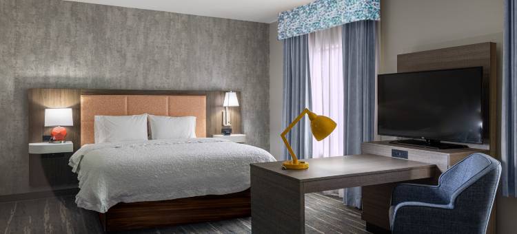 诺克斯维尔西锡达布拉夫欢朋酒店(Hampton Inn Knoxville-West at Cedar Bluff)图片