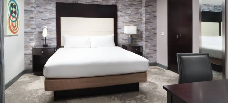 查塔努加市中心希尔顿逸林酒店及度假村(DoubleTree by Hilton Chattanooga Downtown)图片