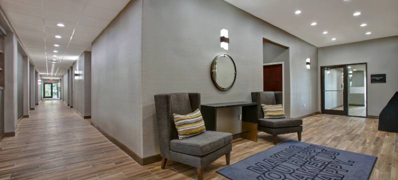 希尔顿欢朋套房酒店-达拉斯迪索托(Hampton Inn & Suites Dallas-DeSoto)图片