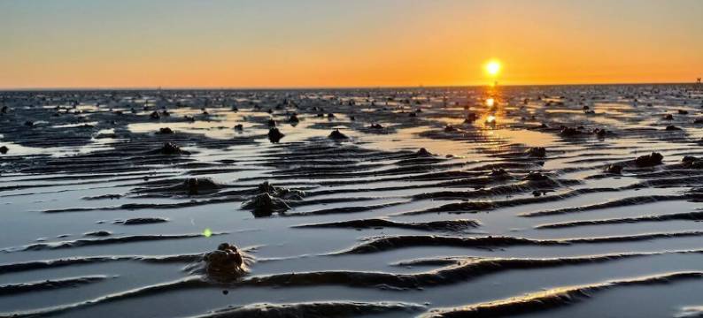 Gemütliche Ferienwohnung Mitten im Zentrum von Büsum图片