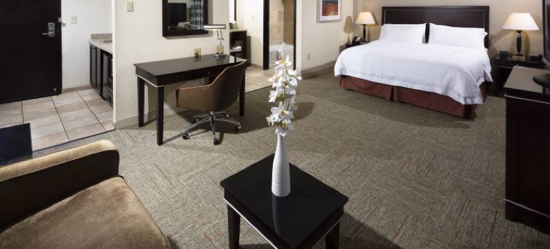 南拉斯维加斯欢朋酒店(Hampton Inn & Suites Las Vegas South)图片