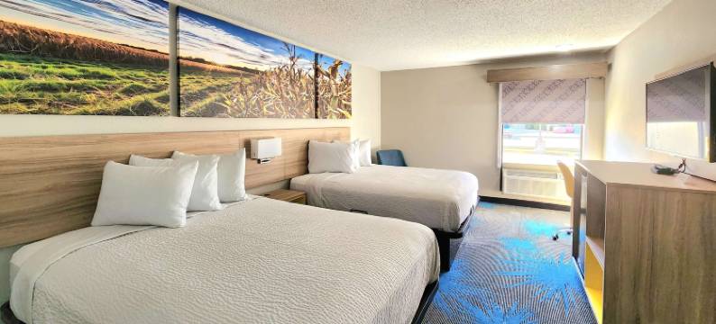 新伊比利亚戴斯套房酒店(Days Inn & Suites by Wyndham New Iberia)图片