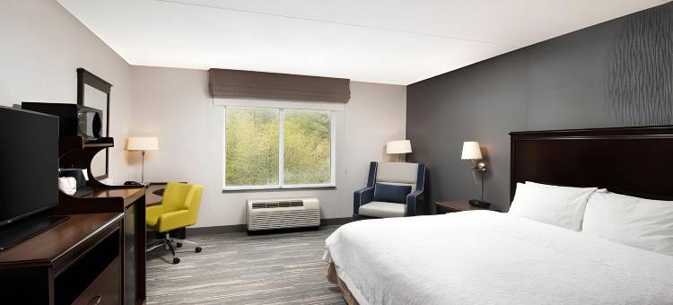 希尔顿欢朋酒店及套房巴里(Hampton Inn & Suites by Hilton Barrie)图片