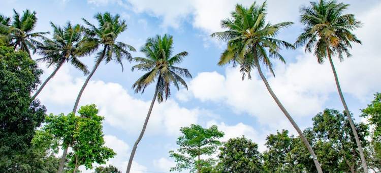 安比克河畔营地和度假村(Ambik Riverside Camp And Resort)图片