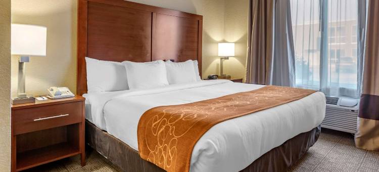 琼斯伯勒大学区舒适套房酒店(Comfort Suites Jonesboro University Area)图片