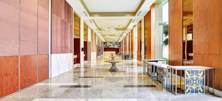 昌迪加尔莫哈里丽芮酒店(Radisson Red Chandigarh Mohali)图片