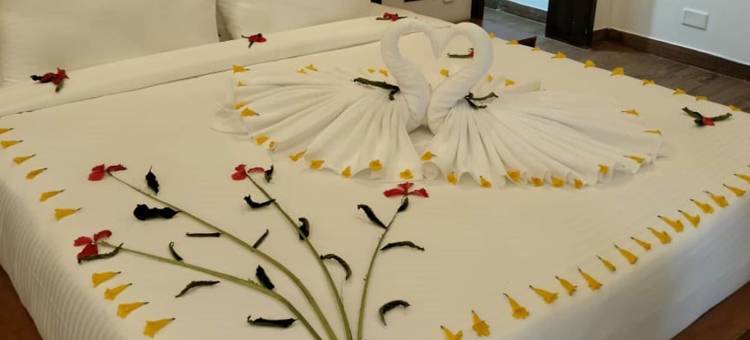 Sportico Resort Bangalore斯波蒂科度假村班加罗尔(Sportico Resort Bangalore)图片