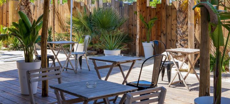 阿尔斯的Noemys(Noemys Arles)图片