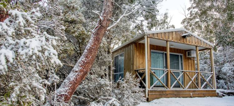 探索公园-摇篮山住宿(Discovery Parks - Cradle Mountain)图片