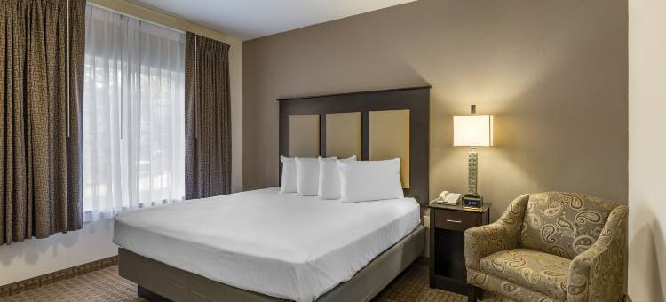住宿一晚套房酒店(Stay-over Suites - Fort Gregg-Adams Area)图片