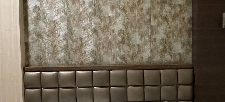 沙洛瓦尔公寓酒店(Hotel Sarovar Residency)图片