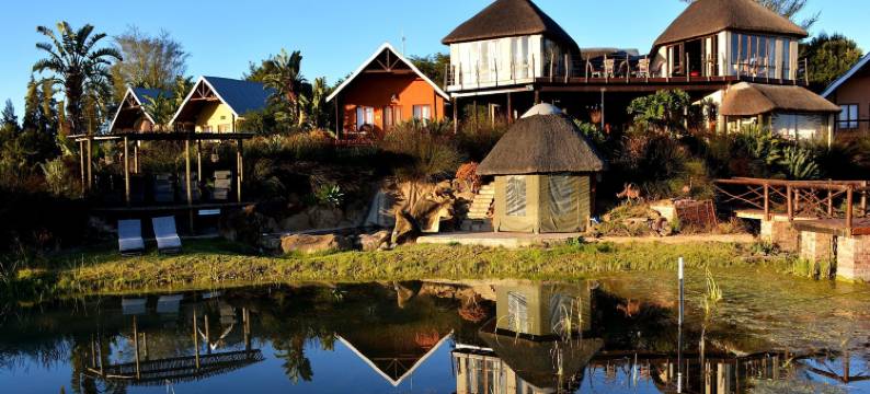 阿朵蜣螂农场酒店(Addo Dung Beetle Guest Farm)图片