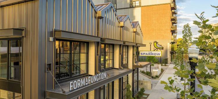 麻雀旅馆(The Sparrow)图片