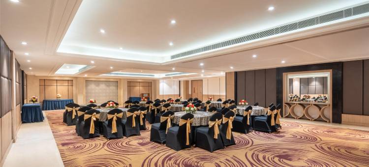 古尔冈丽柏酒店(Park Inn Gurgaon)图片