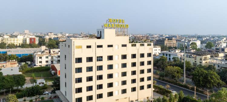 斯塔普拉万寿菊酒店(Hotel Marigold Jaipur)图片