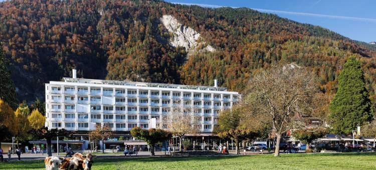 因特拉肯哈皮玛格度假村(Hapimag Ferienwohnungen Interlaken)图片