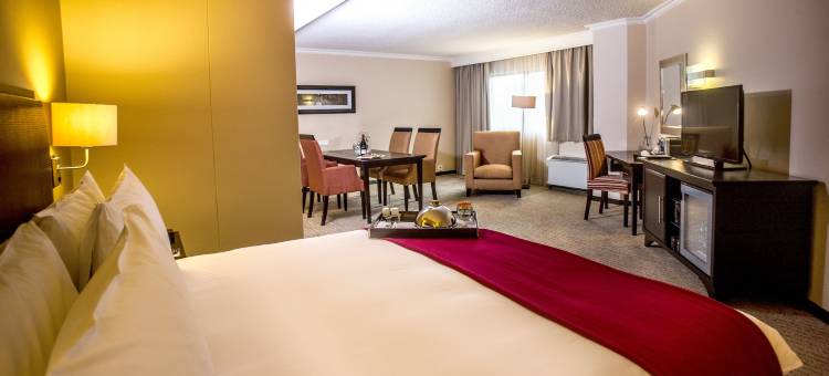 南孙比勒陀利亚酒店(Southern Sun Pretoria)图片