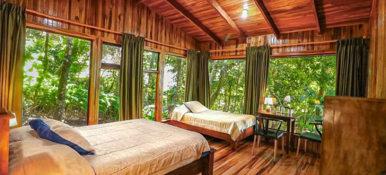 布罗梅利亚之花酒店(Hotel Flor de Bromelia)图片