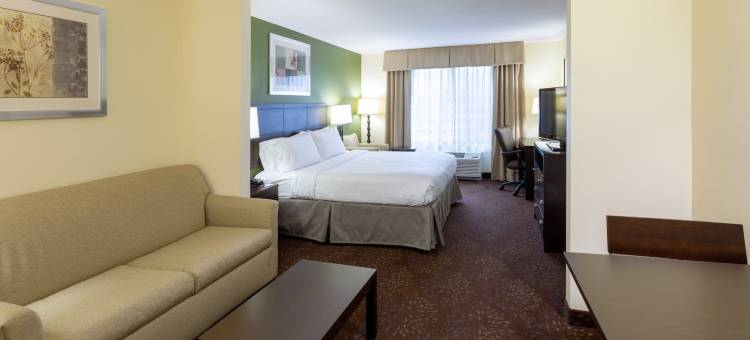 智选假日套房酒店罗切斯特(Holiday Inn Express & Suites Rochester – Mayo Clinic Area)图片