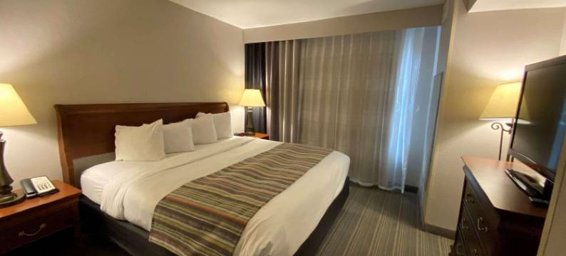 雅典丽怡酒店(Country Inn & Suites by Radisson, Athens, GA)图片
